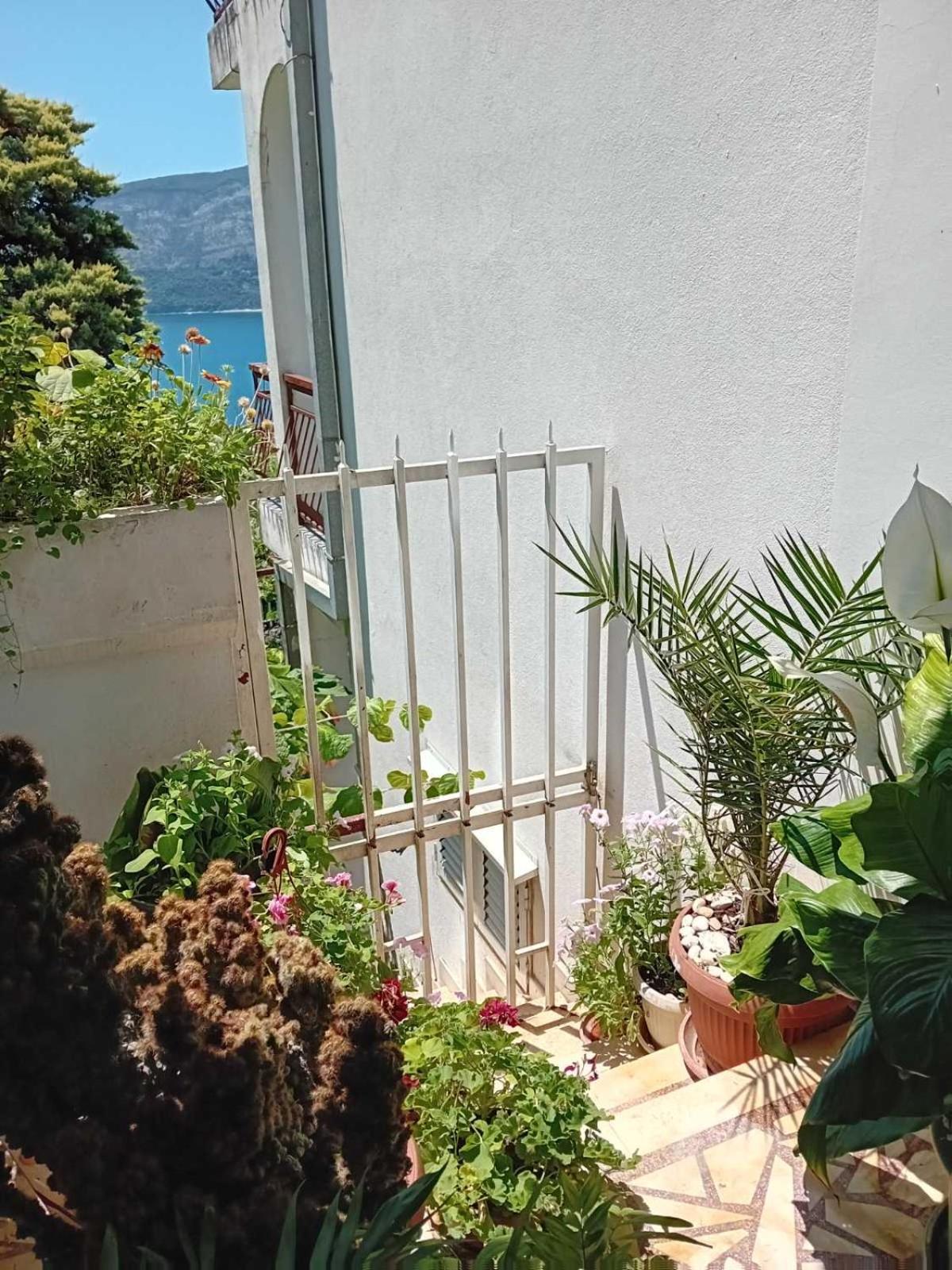 Guest House Cinderella Herceg Novi Ngoại thất bức ảnh