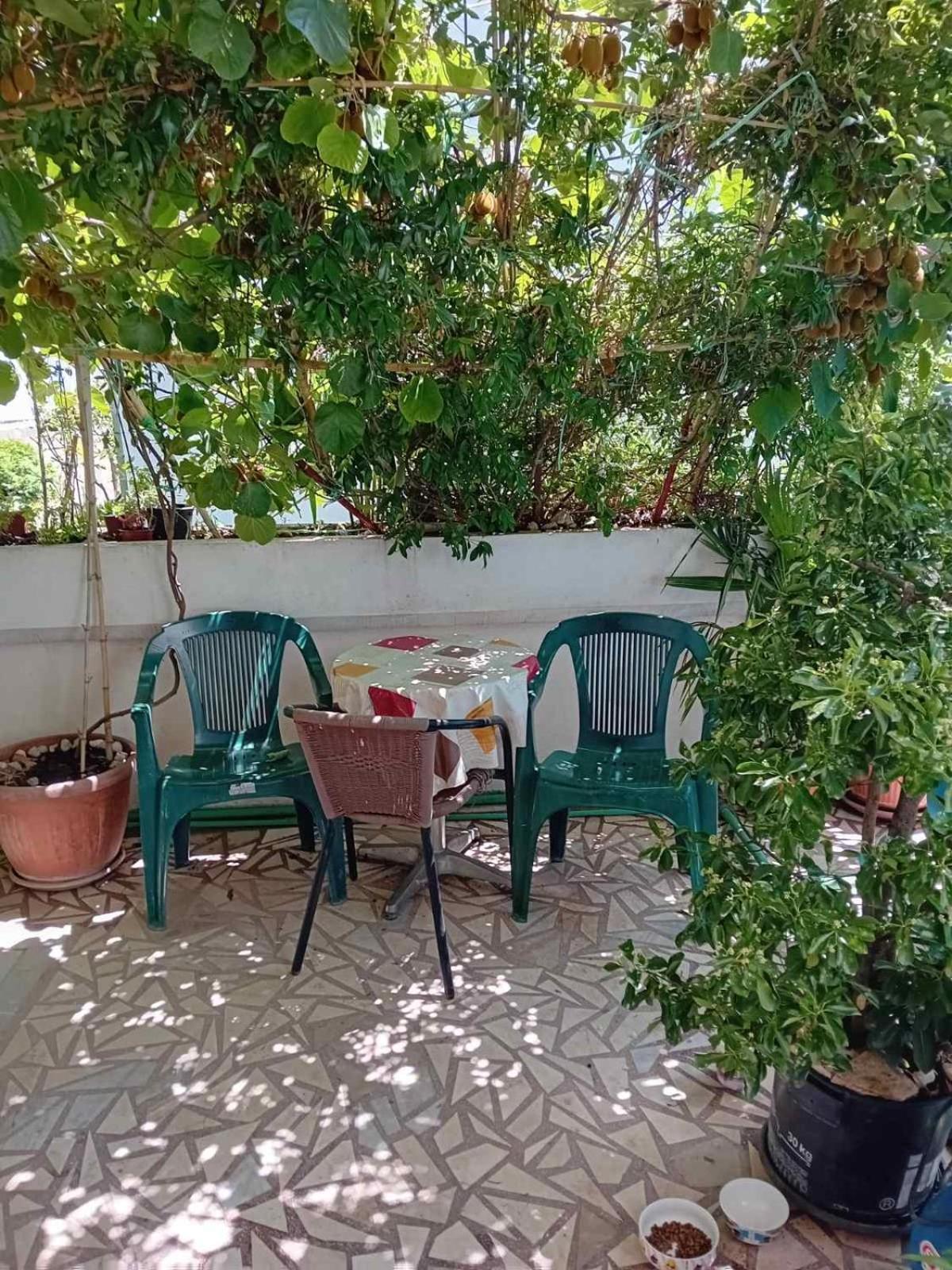 Guest House Cinderella Herceg Novi Ngoại thất bức ảnh